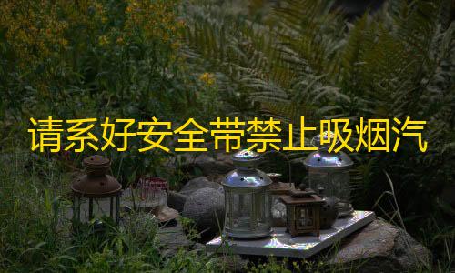 低价卡网请系好安全带禁止吸烟汽车贴纸车内警示提示带随意创意装饰车贴纸